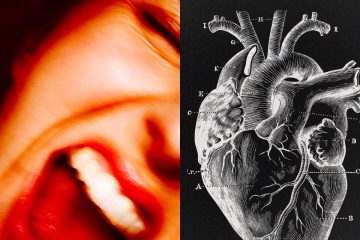 Science shows how a surge of anger could raise heart attack risk – Yahoo! Voices