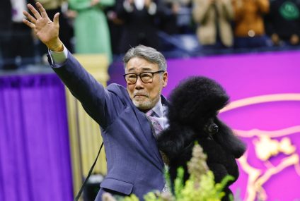Photos and recap of the Westminster Dog Show 2024 – The Washington Post