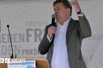 German far right in disarray after AfD Nazi remark – BBC.com